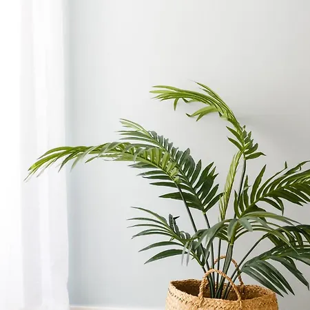 Nueva Almudena By Cadiz4rentals