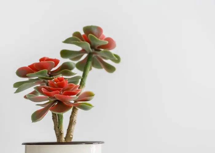 Nueva Almudena By Cadiz4rentals * 카디스