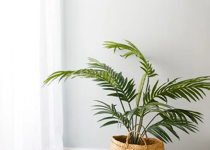 Nueva Almudena By Cadiz4rentals